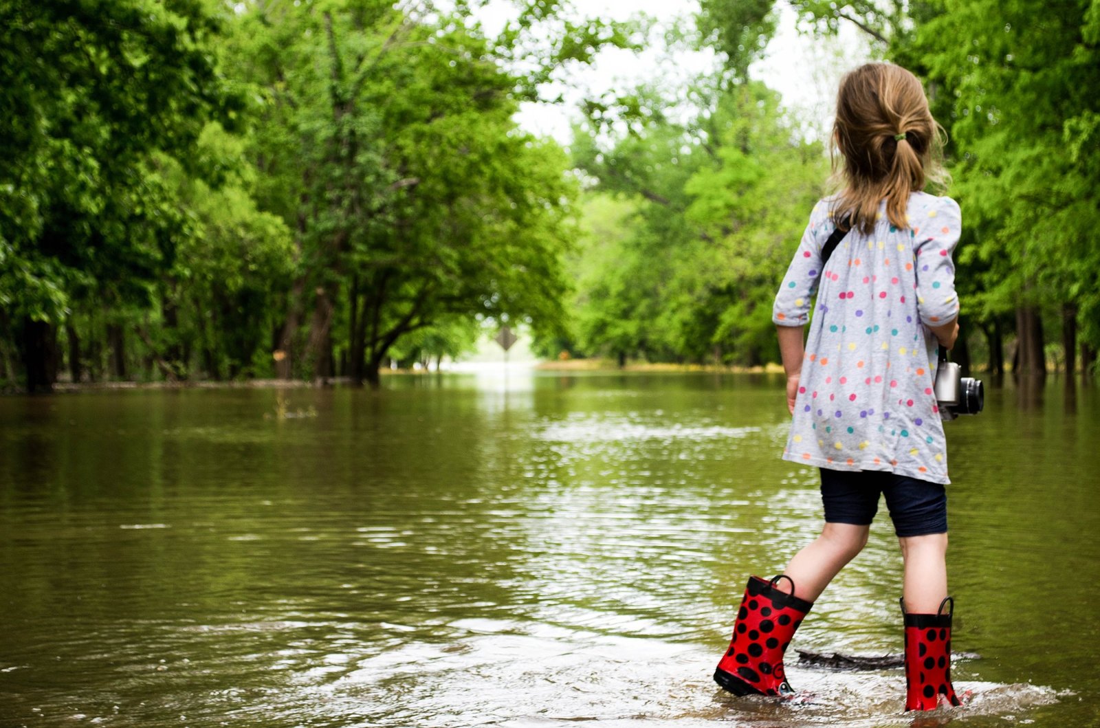 Flood banner