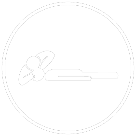 Tsunami